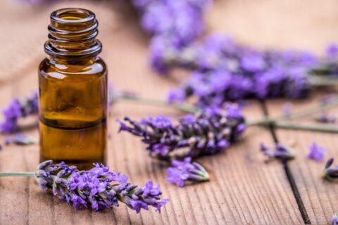 Bach Flower Remedies